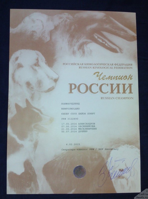 Фото: ньюфаундленд Кипер Соул Лайон Хэерт