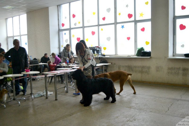 Фотография № 178050