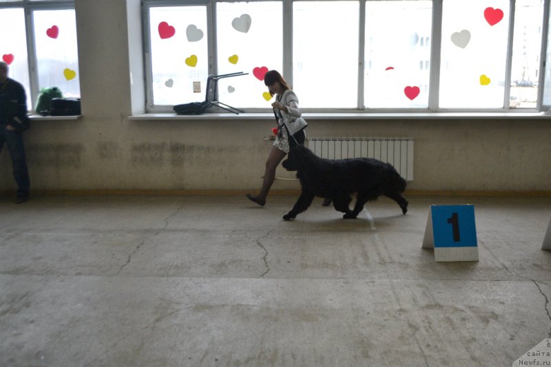 Фотография № 178051