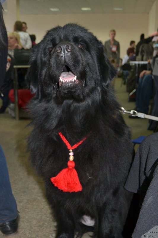 Фотография № 178053