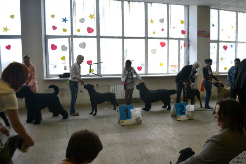 Фотография № 178055