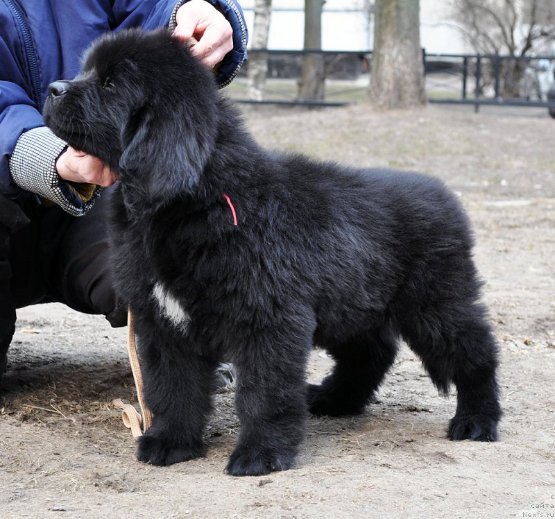 Фотография № 178080