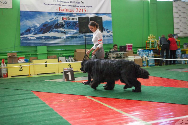 Фотография № 178098