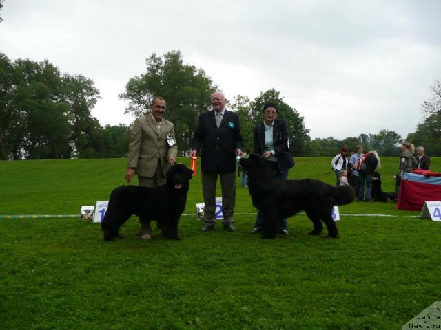 Фотография № 17810