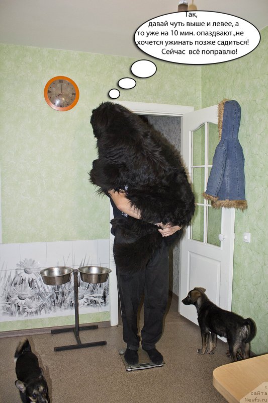 Фотография № 178101