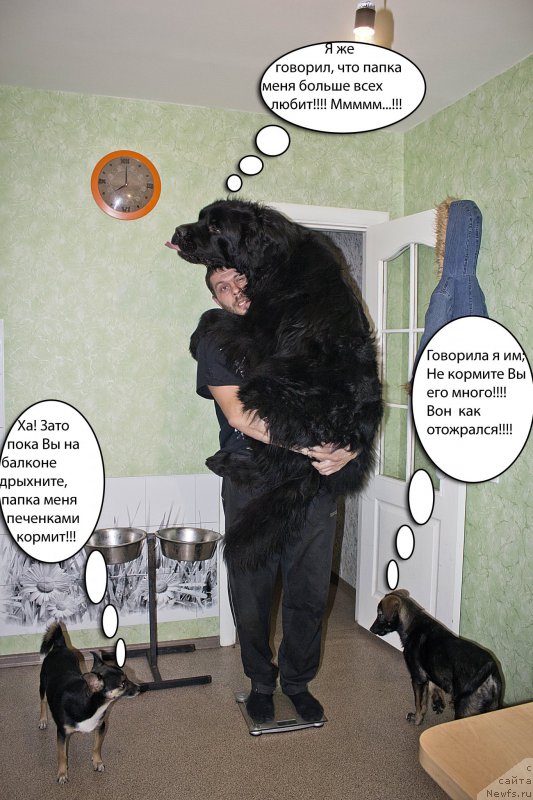 Фотография № 178106