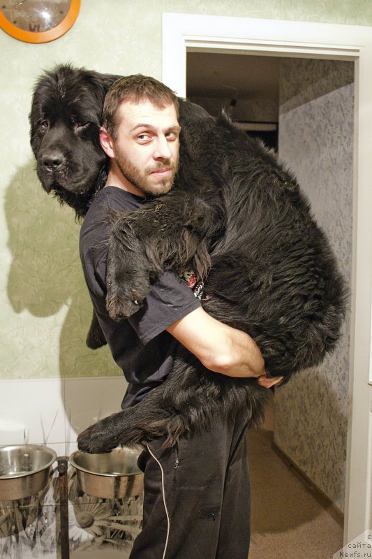 Фотография № 178108