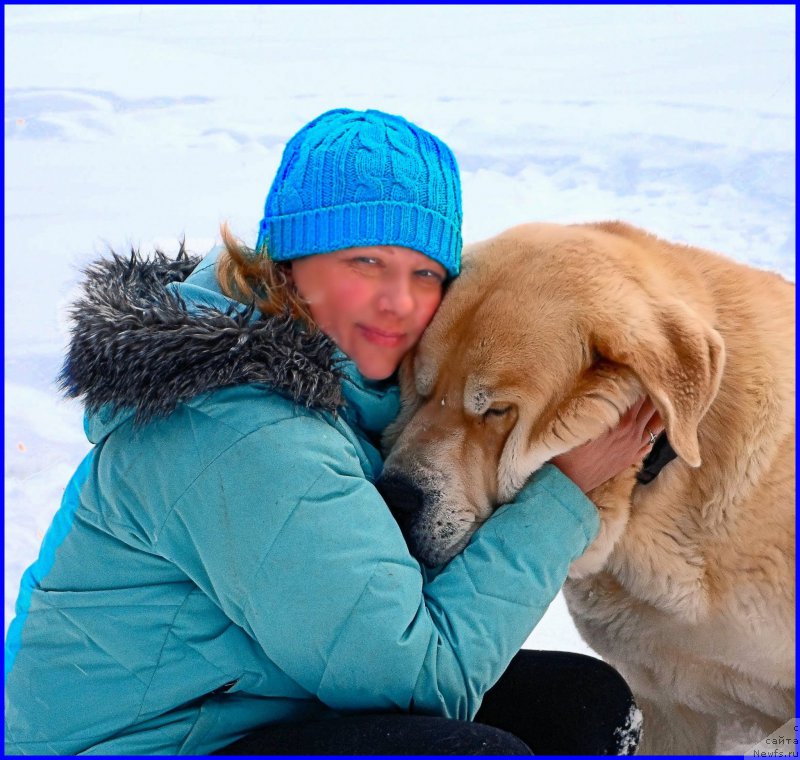 Фотография № 178125