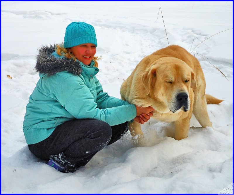 Фотография № 178128