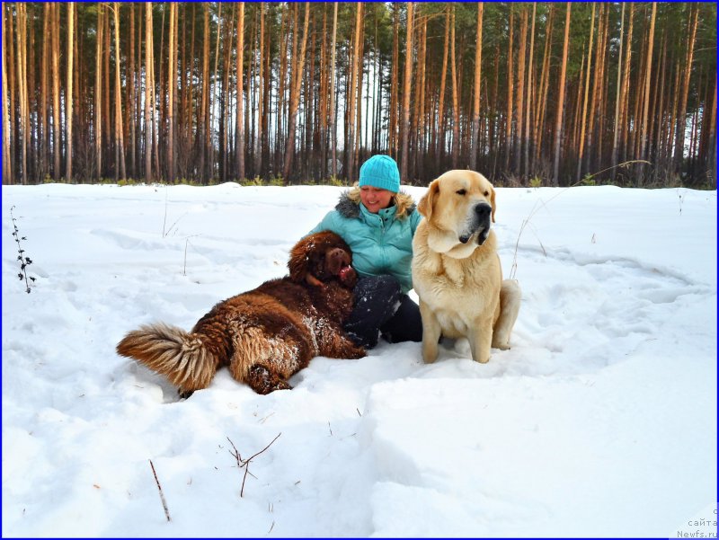 Фотография № 178130