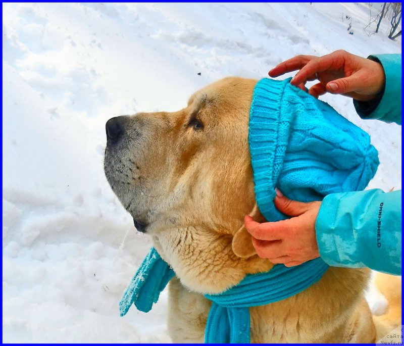 Фотография № 178131