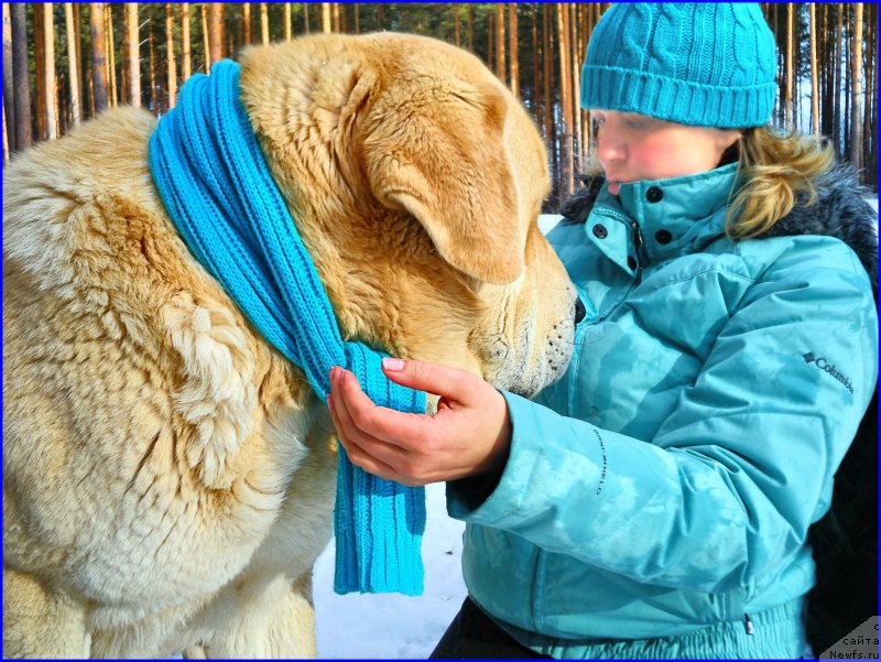 Фотография № 178134