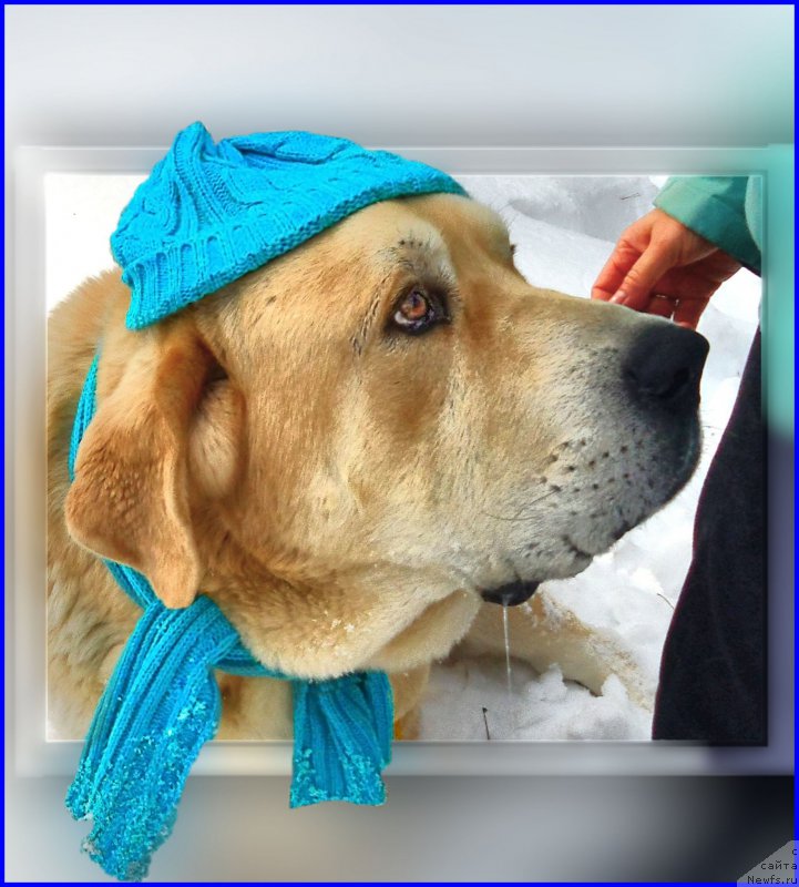 Фотография № 178136