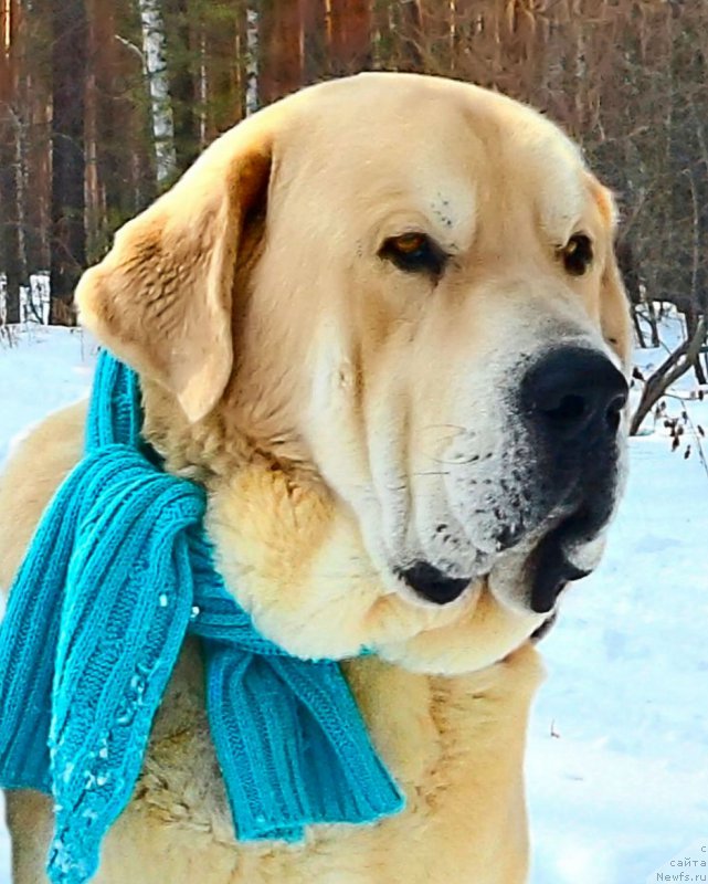 Фотография № 178137