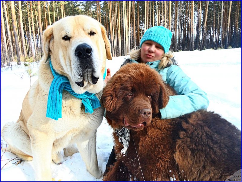 Фотография № 178139