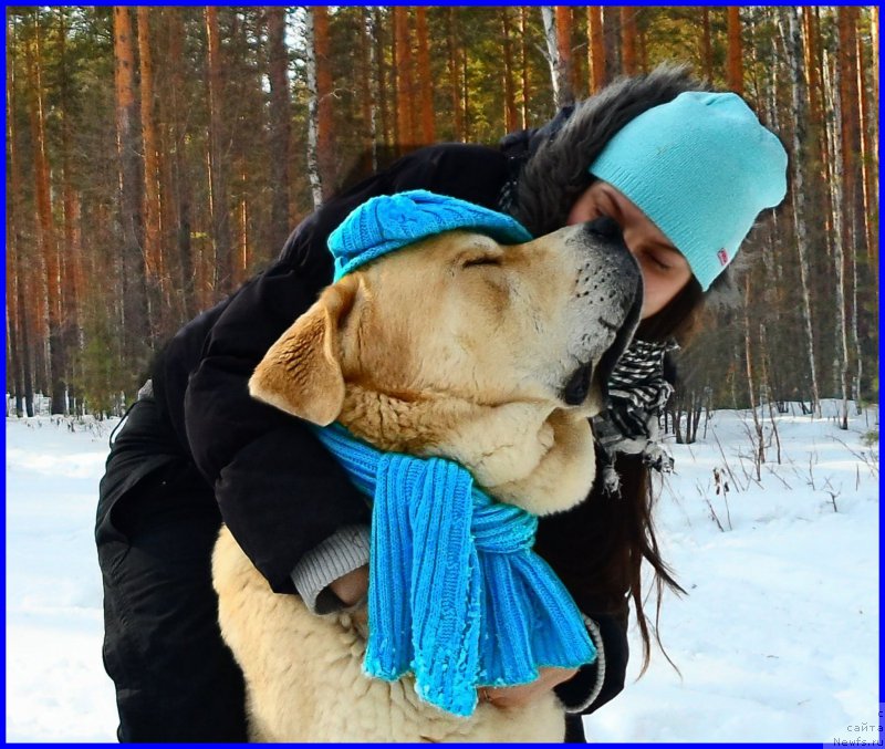 Фотография № 178146