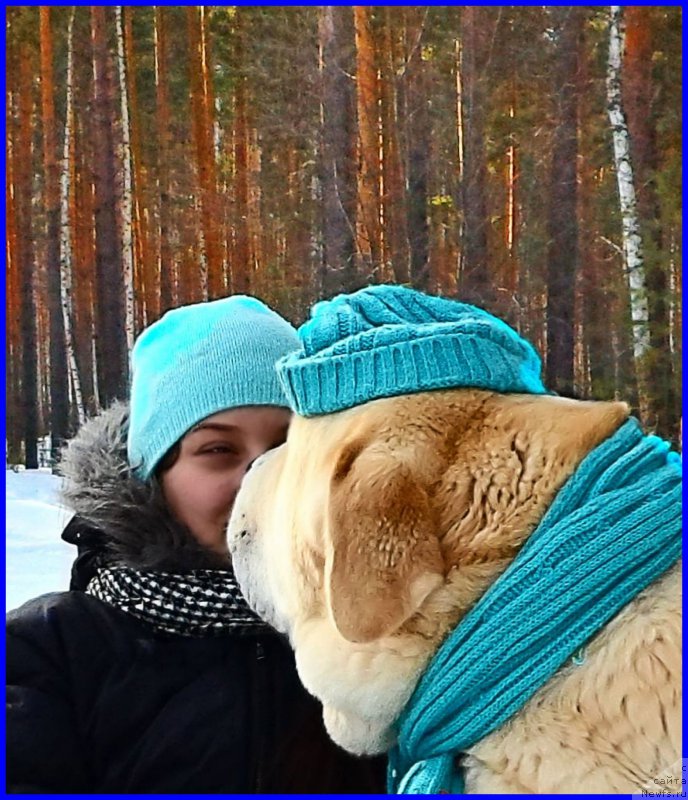 Фото: Лена Зырина, ФРАНКО, САША