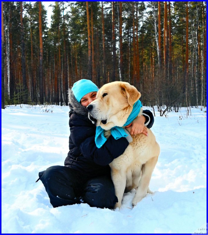 Фотография № 178150