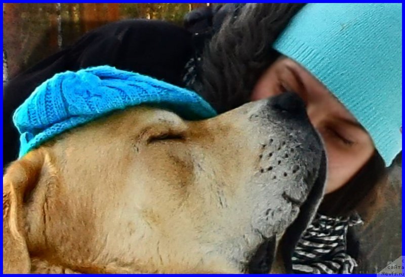 Фотография № 178151