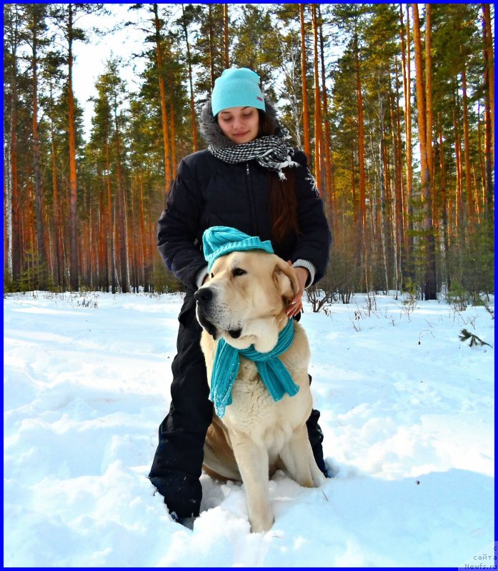 Фотография № 178152