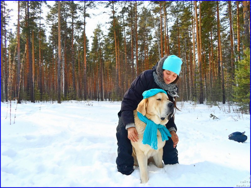 Фотография № 178153