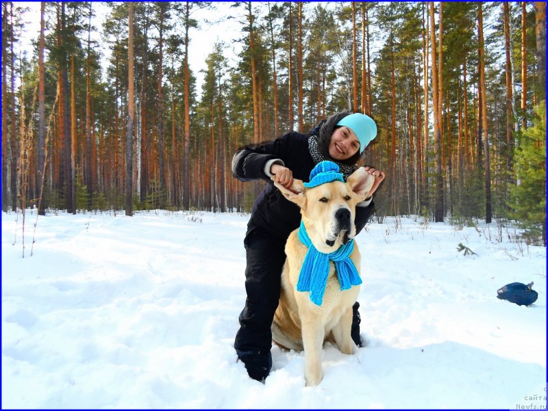 Фотография № 178154