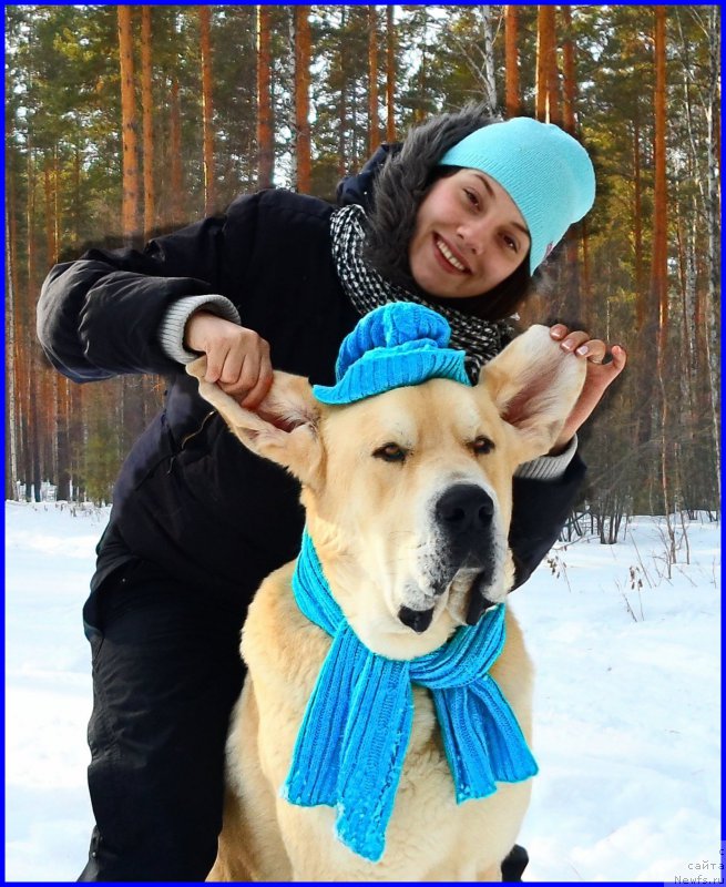 Фотография № 178155