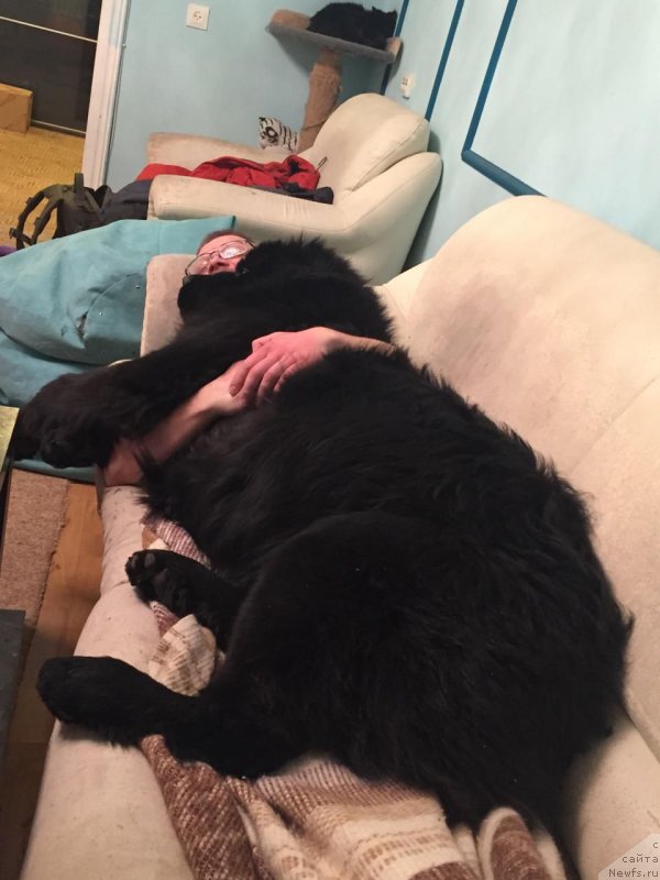 Фотография № 178161