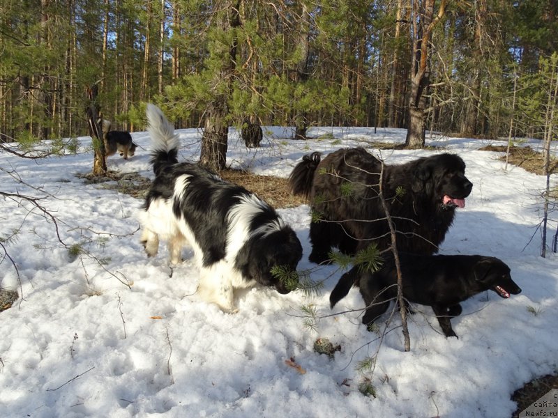 Фотография № 178166