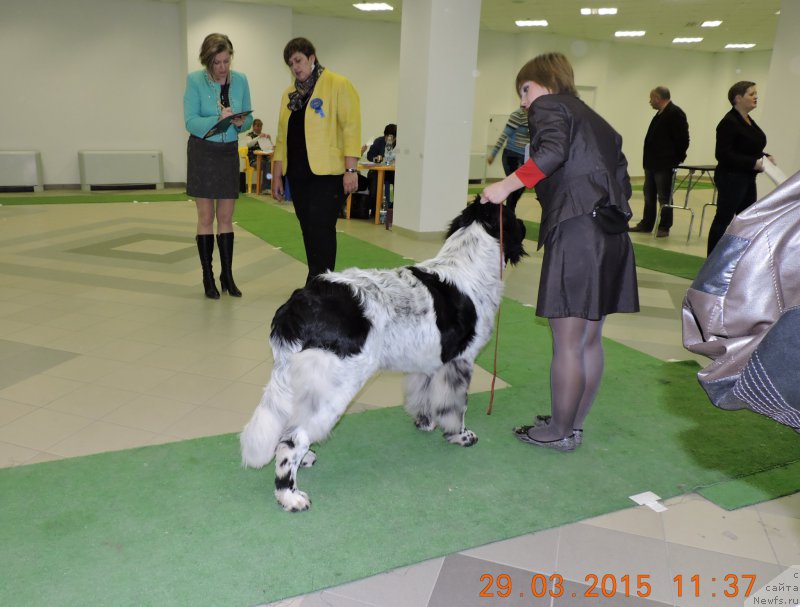 Фотография № 178201