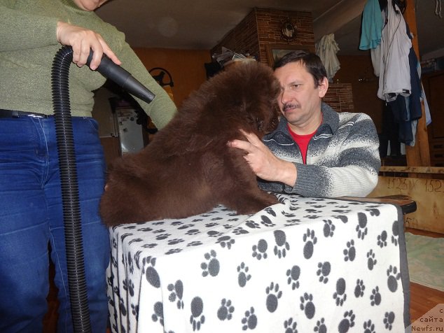 Фото: Светлана Панченко, Алексей -родители.