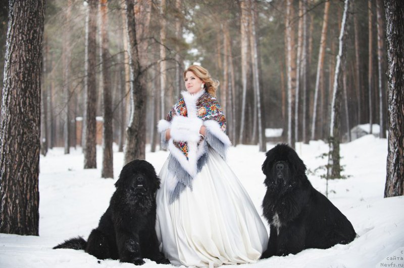 Фотография № 178209