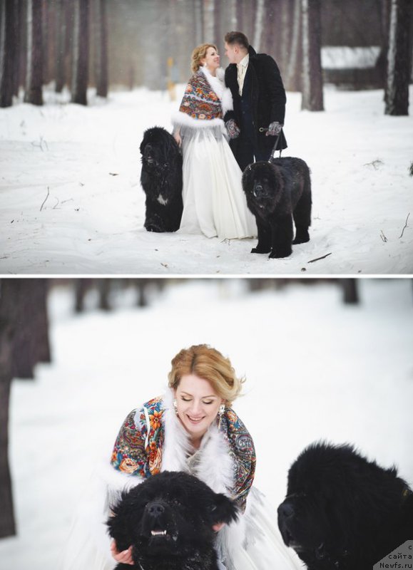 Фотография № 178211