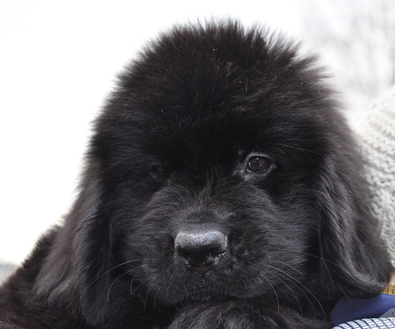 Фотография № 178215