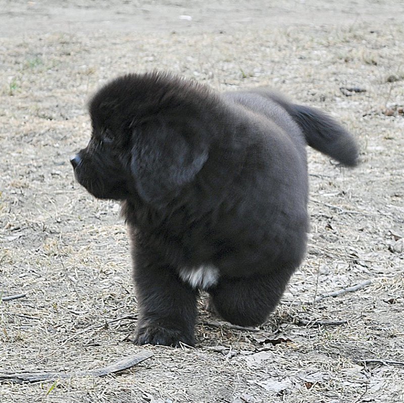 Фотография № 178220