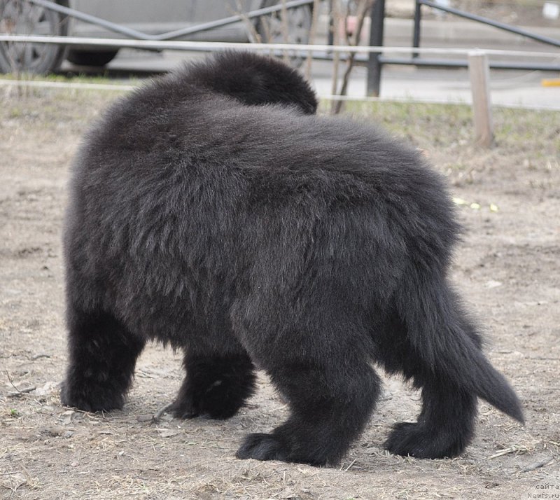 Фото: Бегущая по Волнам Баск Ту Зе Футуре