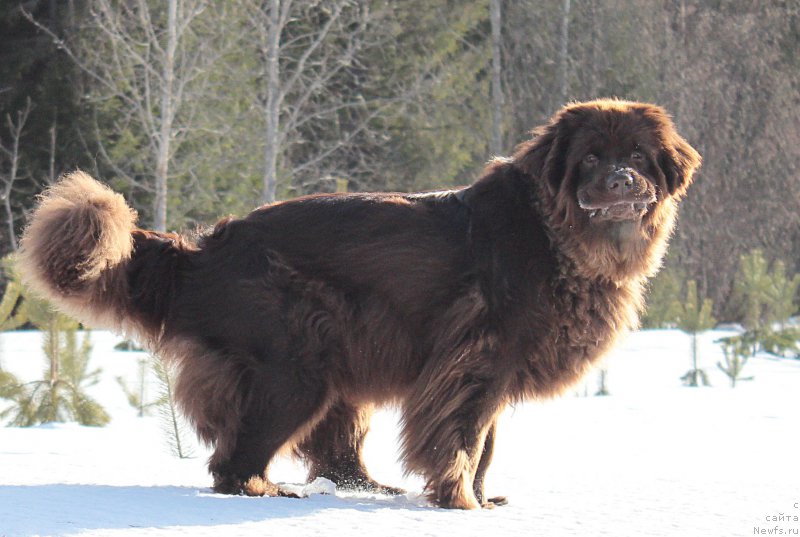 Фотография № 178243