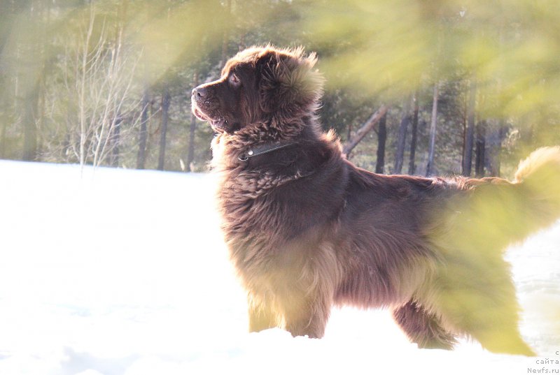 Фотография № 178244