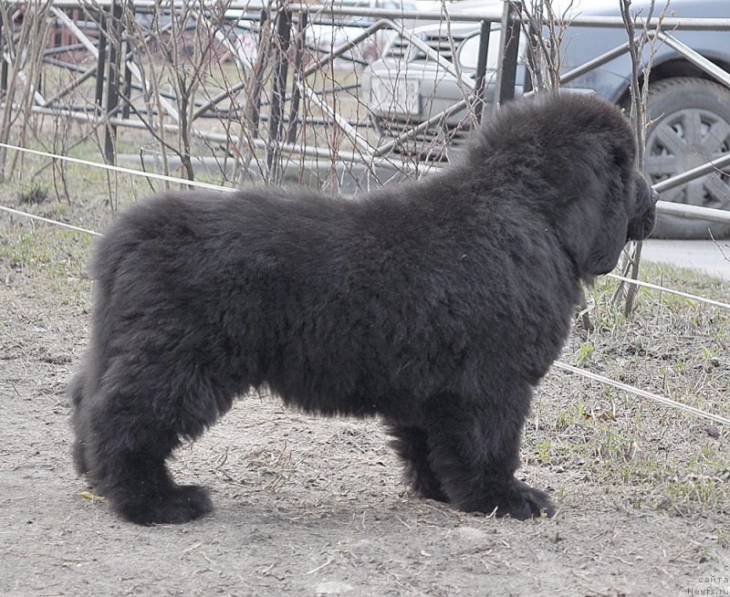 Фотография № 178262