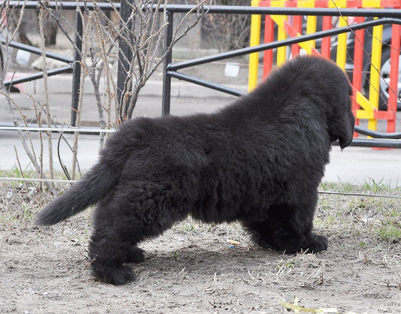 Фотография № 178267