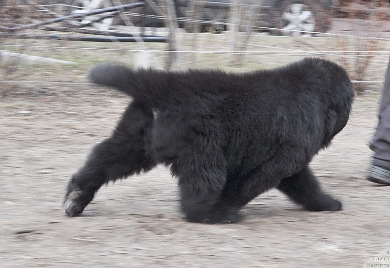 Фотография № 178268