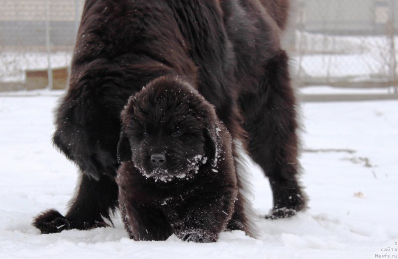 Фотография № 178290