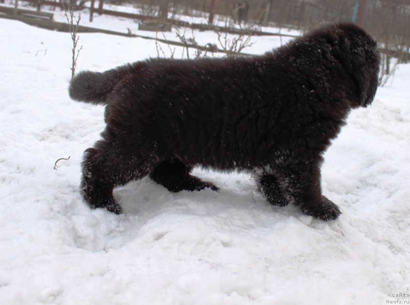 Фотография № 178296