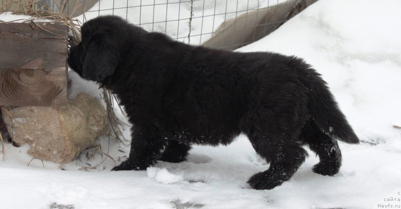 Фотография № 178299