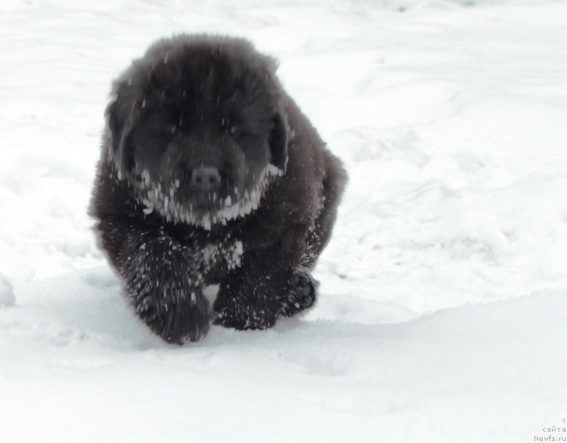 Фотография № 178300