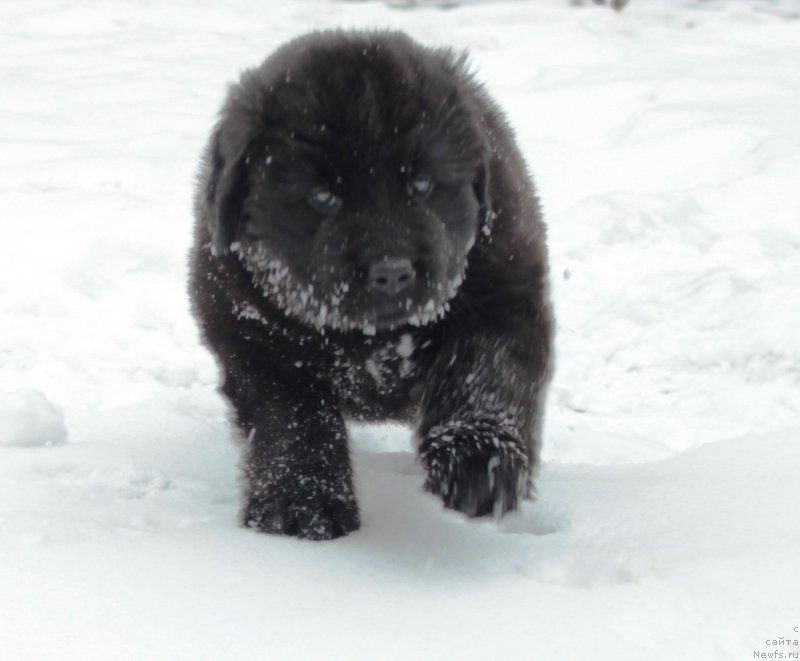 Фотография № 178301