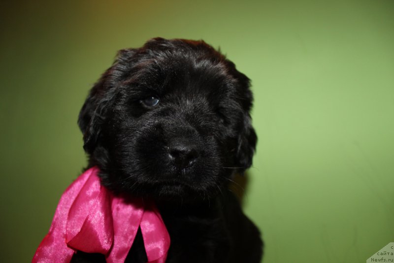 Фотография № 178307