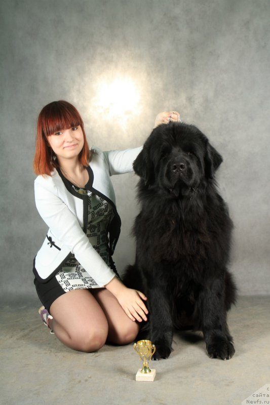 Фотография № 178318