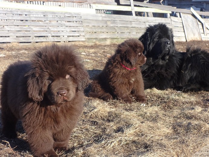 Фотография № 178338