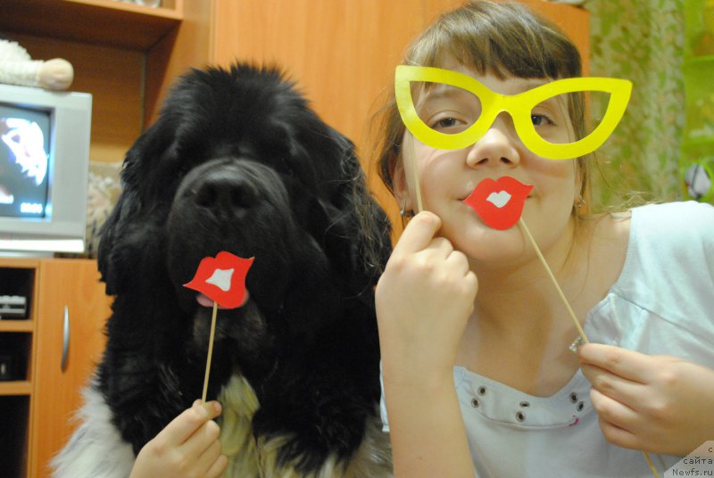 Фотография № 178396